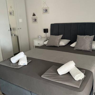 596 Img 9850